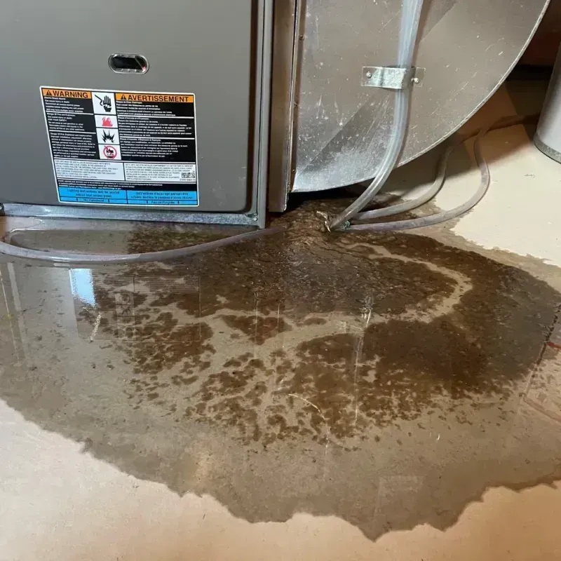 Appliance Leak Cleanup in Hiram, GA